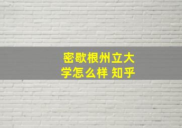 密歇根州立大学怎么样 知乎